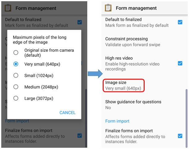 Image Size menu to set the image resolution